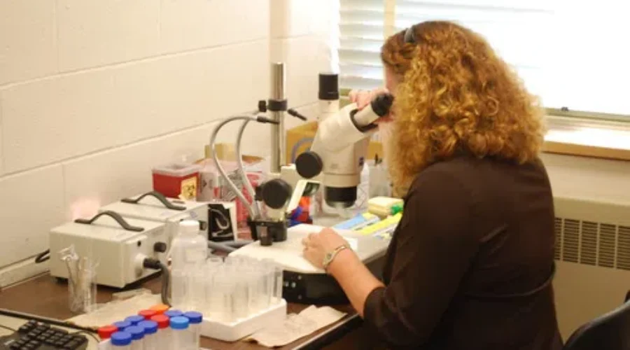 COVID-19 Research Projects Receive Funding From New Coalition