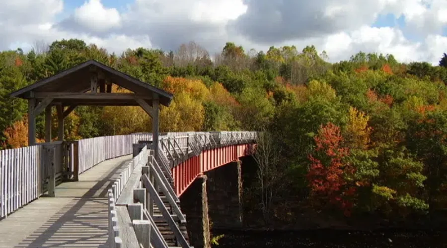 Bridgewater Mayor Commends Province For Opening Parks