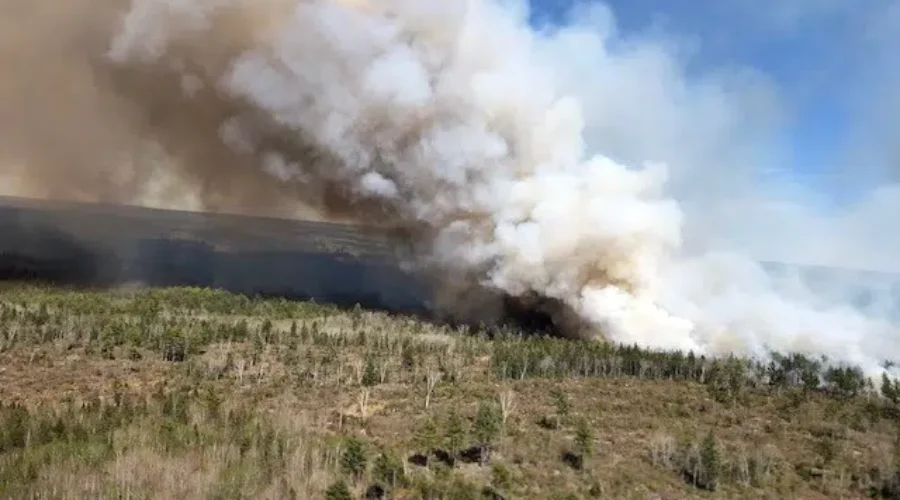 Firefighters Continue Fight Against Springfield Fire