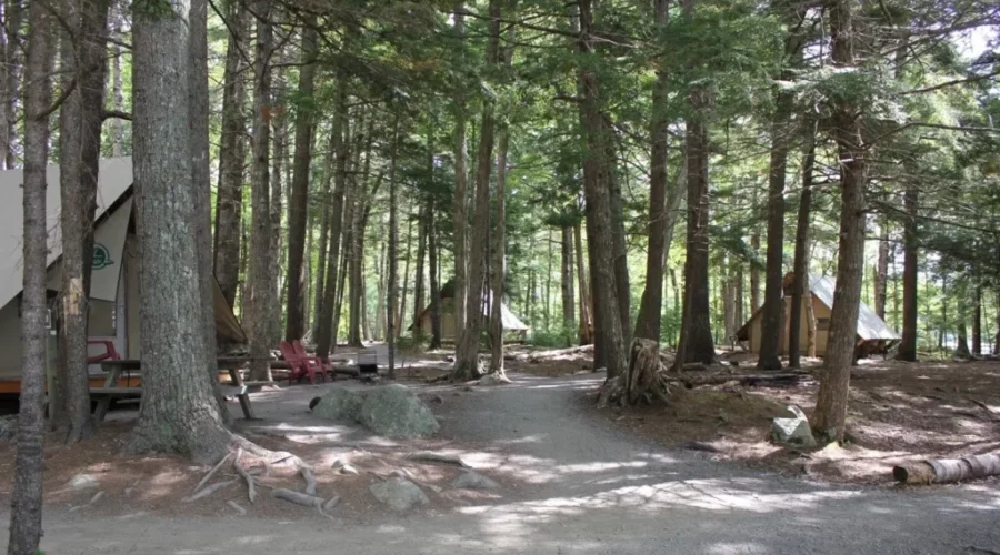 Some National Parks Set To Open June 1st