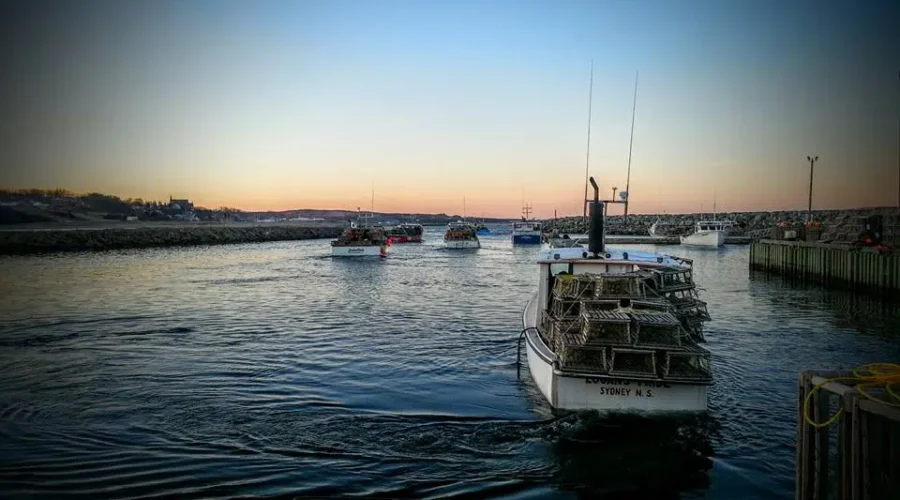 Spokesperson says lobster prices low, fishers want extension