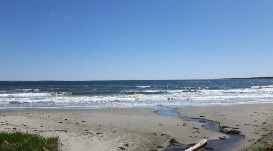 NS Beaches Will Have Lifeguards Starting Canada Day