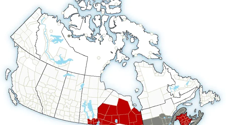 Hot Humid Weather Ahead For The South Shore