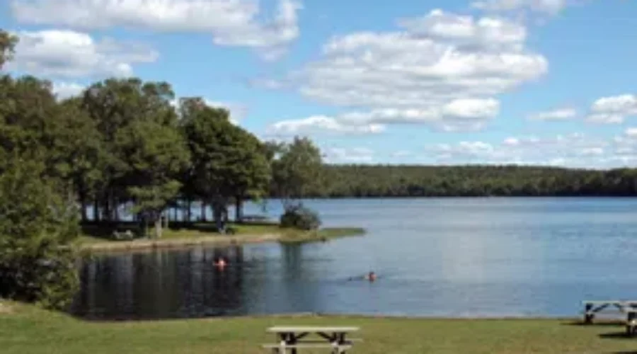 Demand For Campsites Surges On Opening Day