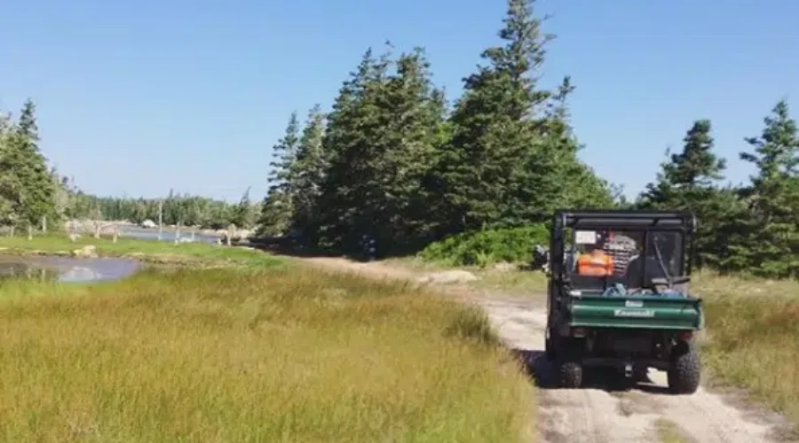 Kejimkujik Seaside Closed Due To Black Bear Activity