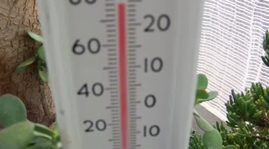 Humidex +40 Or Wind Chill -40?