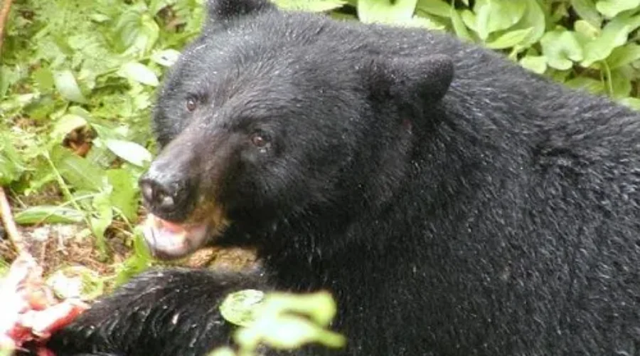 Have The Last Few Months Changed You?