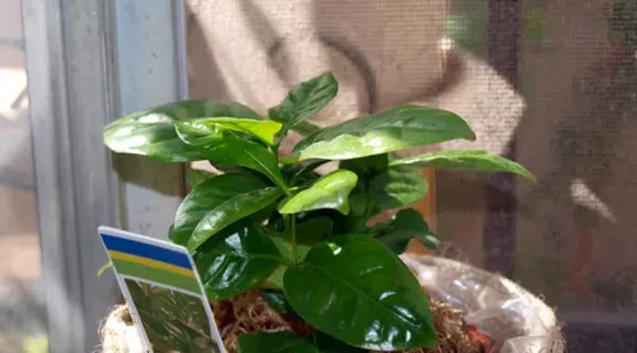 Expensive Hobbies = A Good Thing Or Not?