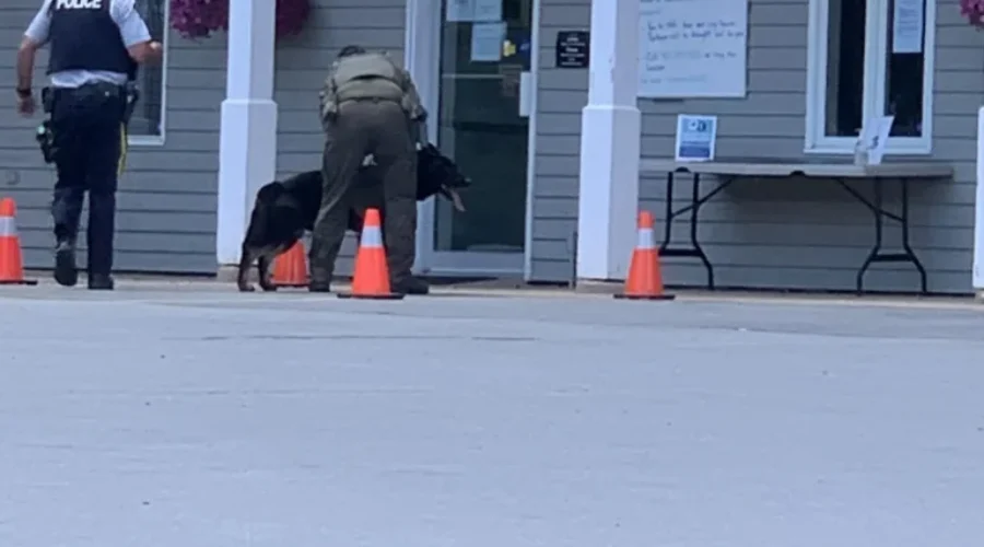 K-9 Seen Being Taken to Veterinary Hospital