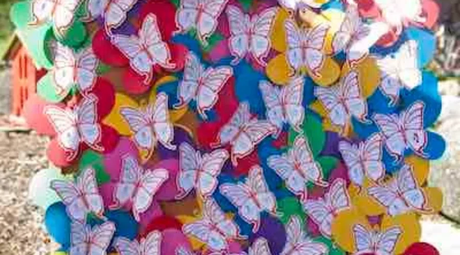 Celebration Marks Special Relationship Between Seniors and Dogs