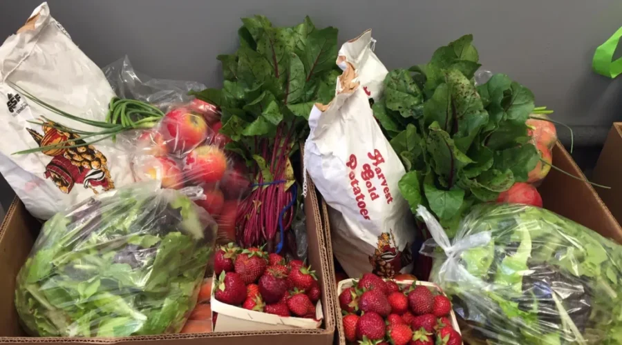 New Ross Family Resource Centre Gets Help Filling Its Food Boxes With Fresh Local Produce