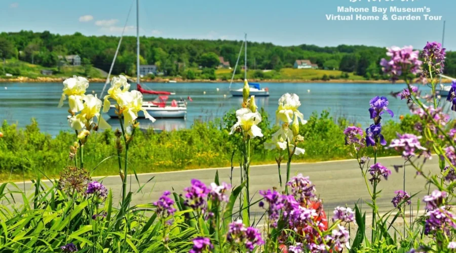 Mahone Bay Home and Garden Tour Goes Virtual