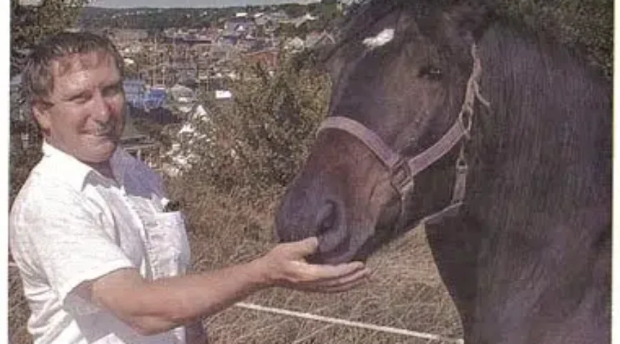 Straight From the Horses Mouth; Stories From The Buggy Seat