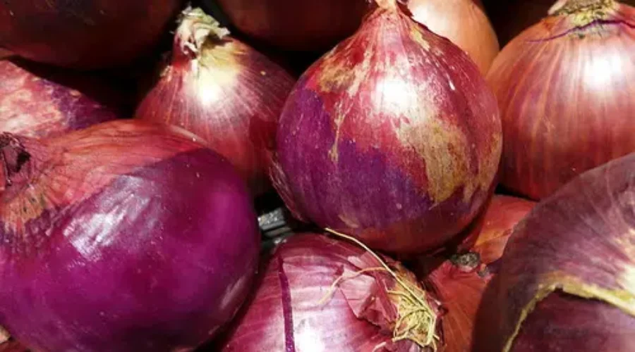 Onions Recalled In Salmonella Outbreak