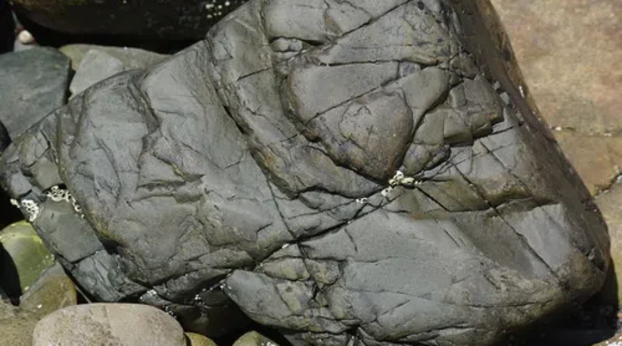 More Than Just A Recipe