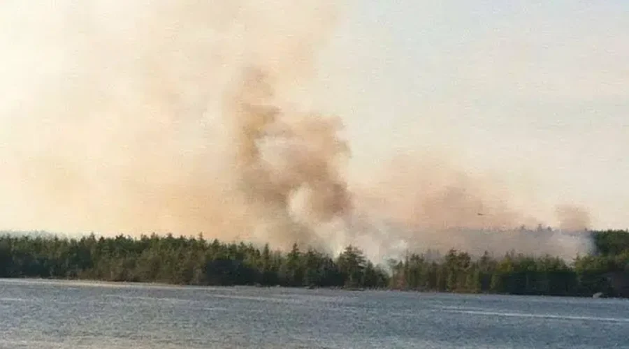 Firefighters Battle Numerous Forest Fires in Queens County