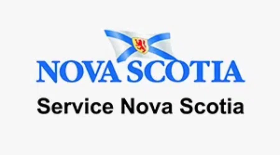 Drivers Licence Renewal Now Available Online