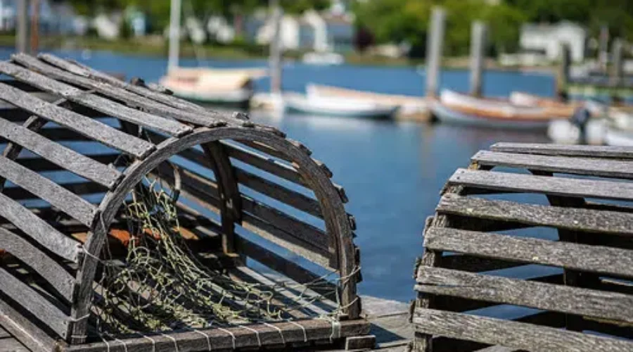 Membertou Chief Calls Lobster License Purchase ‘Historic Investment’