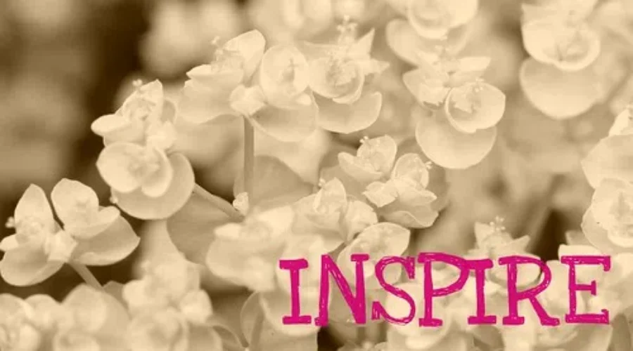 Need Some Inspiration? I’ve Got You!