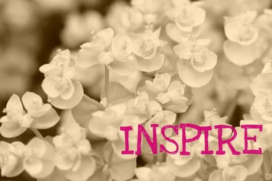 Need Some Inspiration? I’ve Got You!