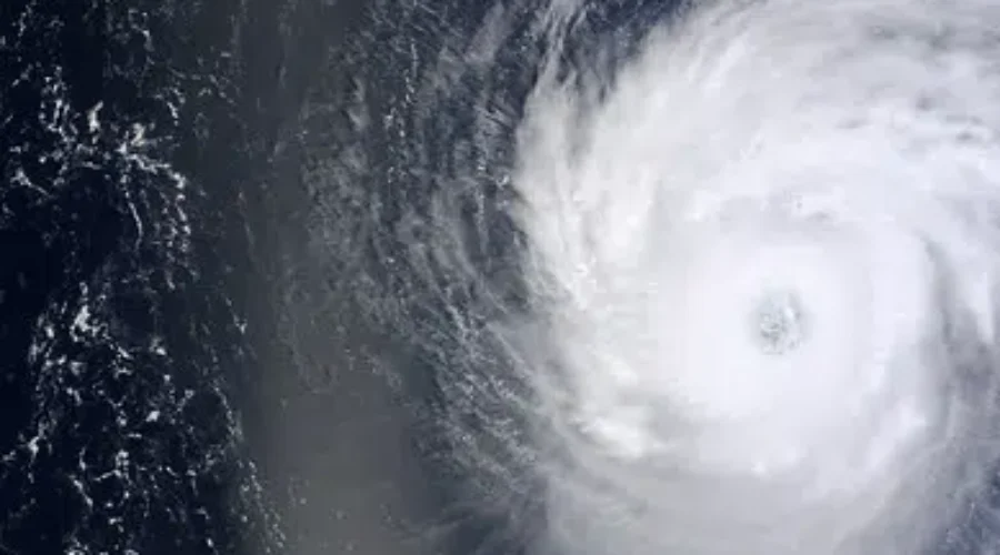 Getting Ready For Teddy