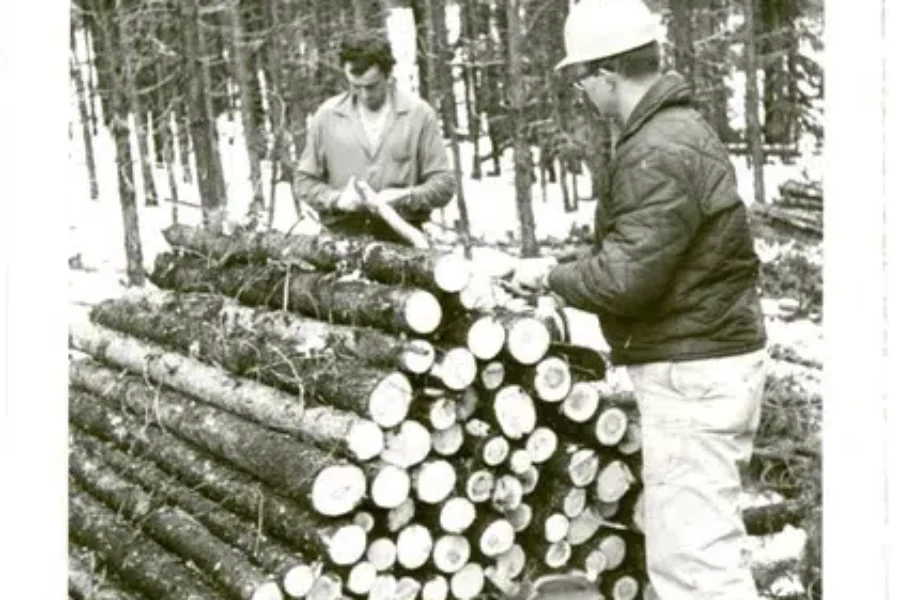 When Did You Last See Four Foot Pulp Wood?