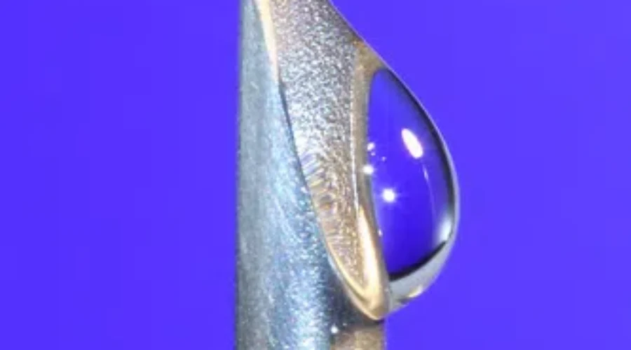 A Possible Vaccine Confuses Me