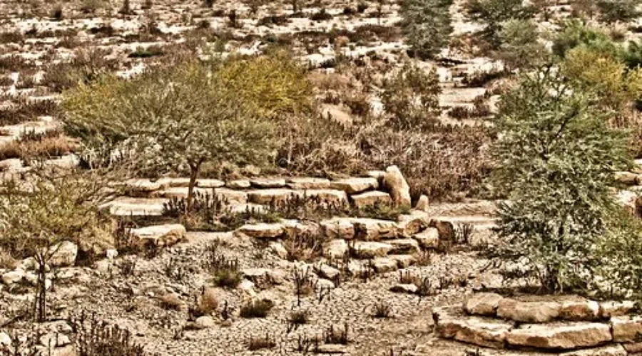 Still… A Bit More Rain