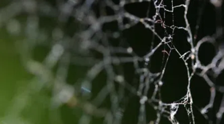 Halloween Decorating