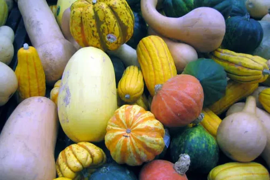 A Few Of My Favourite Squashes