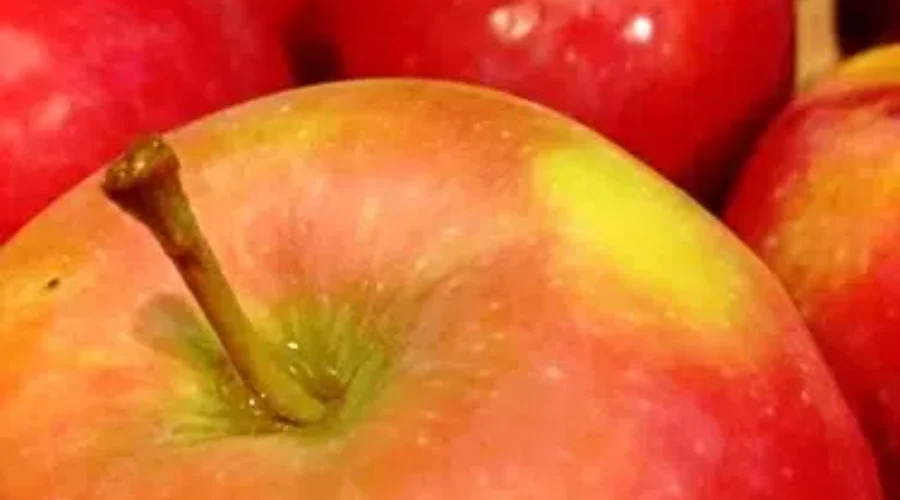 An Apple A Day – But Which Kind?