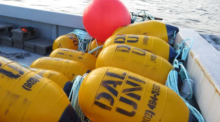 Dalhousie Biology Department Weighs in On St. Mary’s Bay Dispute