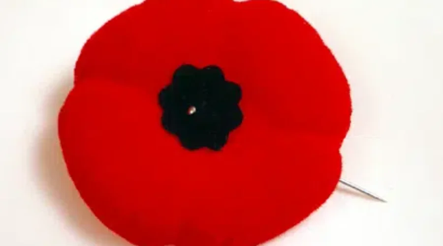 Local Legion Worried Poppy Campaign May Be Hindered By COVID-19