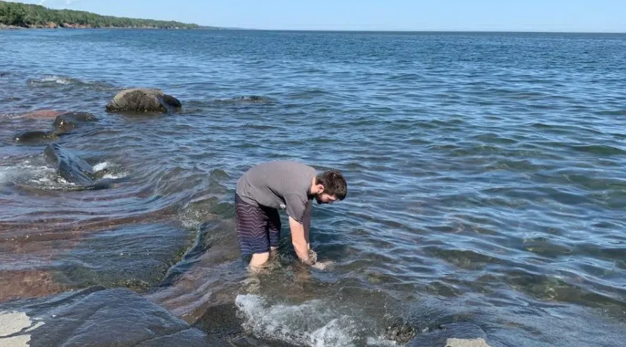 Discovery At Duluth Beaches Relating To COVID-19