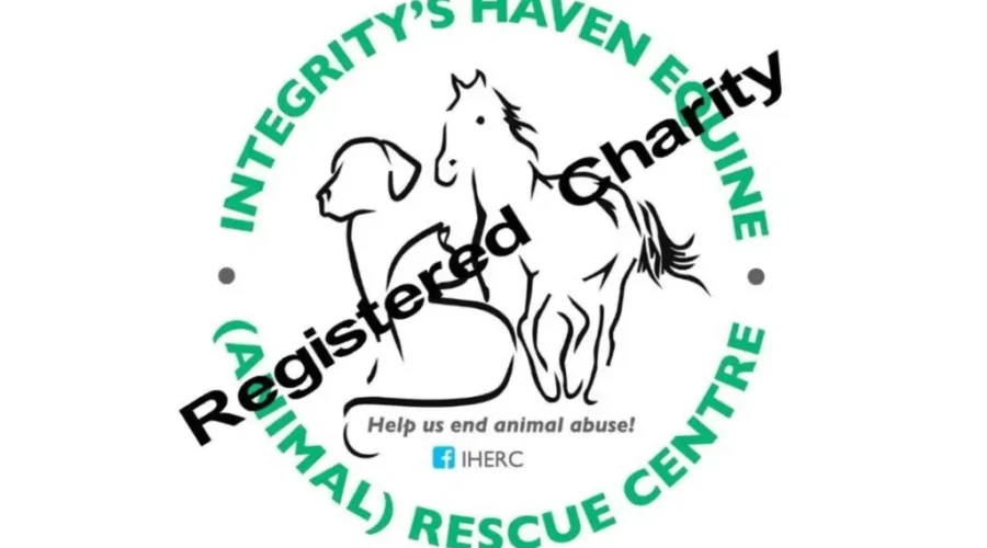 Animal Rescue Battling Financial Struggles Due To COVID-19