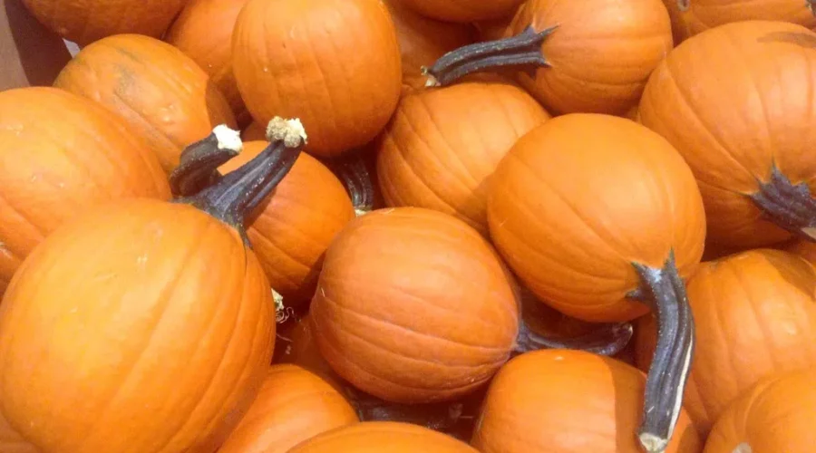 Halloween Was… Different