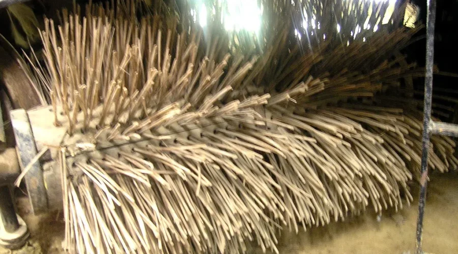 Surprise White Stuff