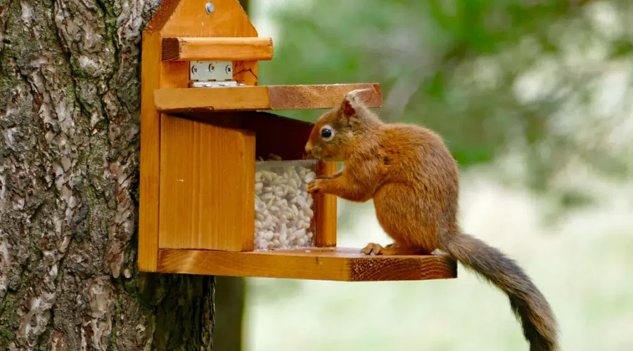 There’s An App For… Everything