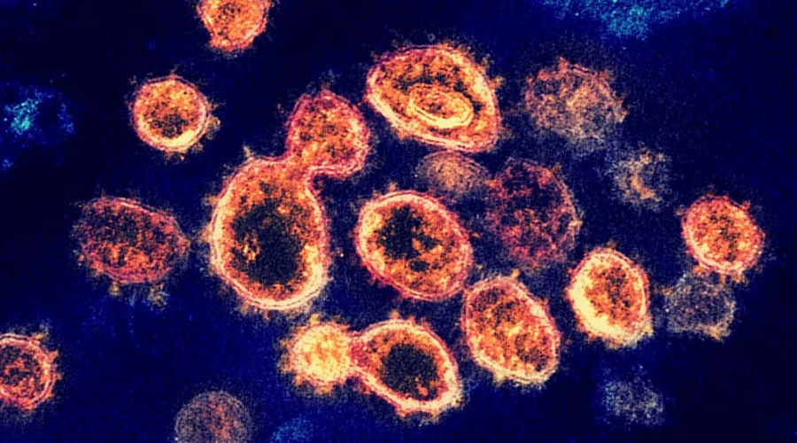 Covid Fatigue – Do You Have It?