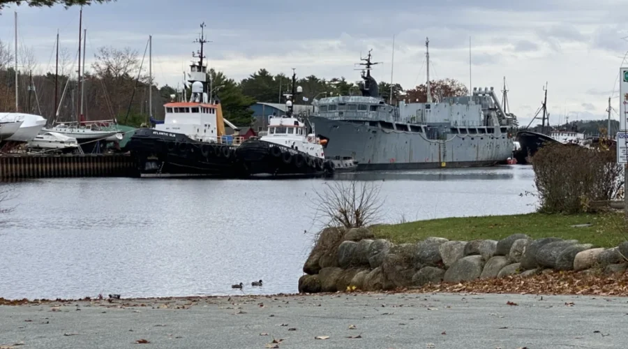 Sea Heights Delays Cormorant Removal For Another Day