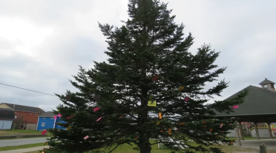 Lockeport Residents Save Beloved Tree