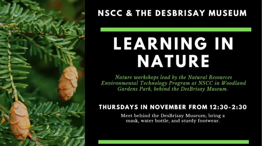 New Museum Workshop Promotes Exploration of Nature