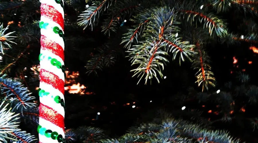 Christmas Tree Rules?