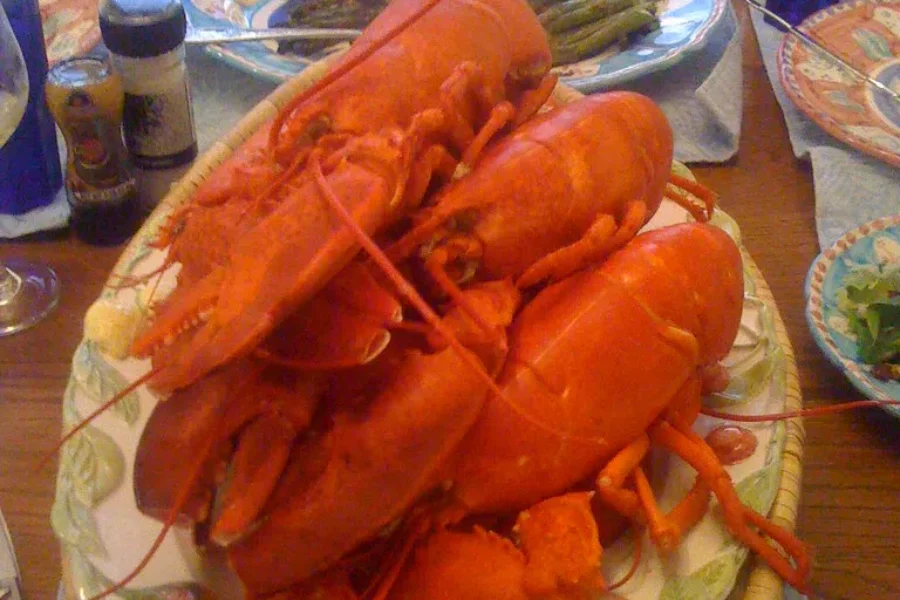 Having Lobster Over The Holidays?