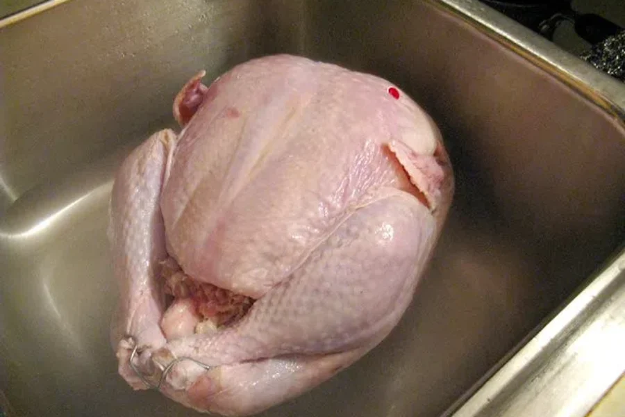 Growing Into Turkey