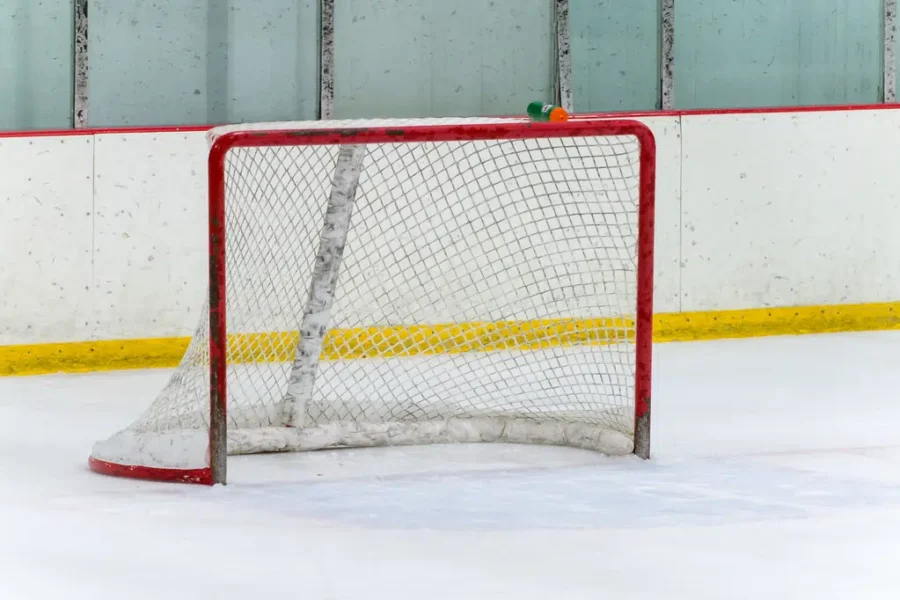 NHL, Players’ Association Reach Deal For 56-Game Season