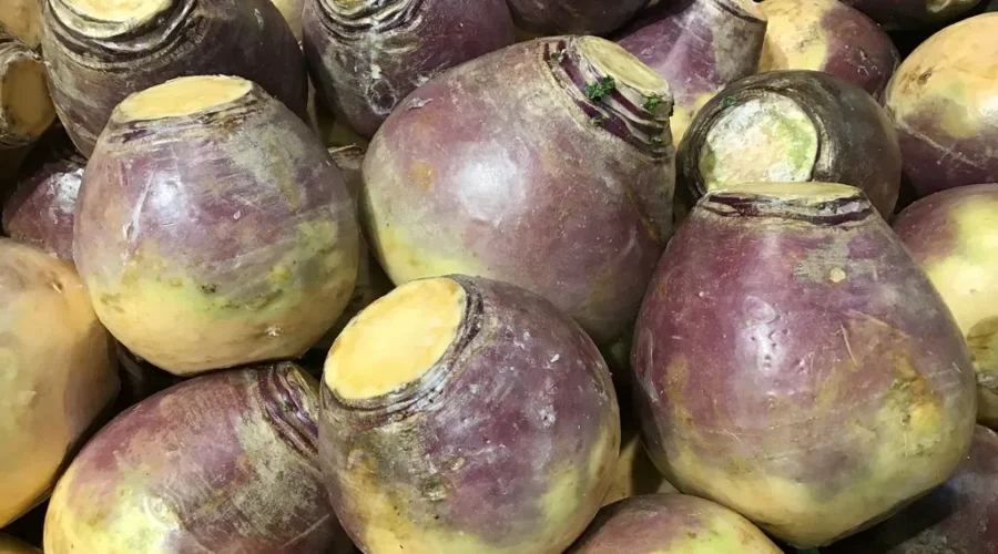 The Turnip Elf Came!