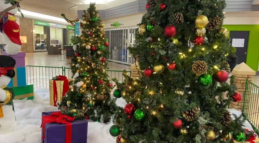 COVID-19 Not Stopping Santas Return To Local Mall