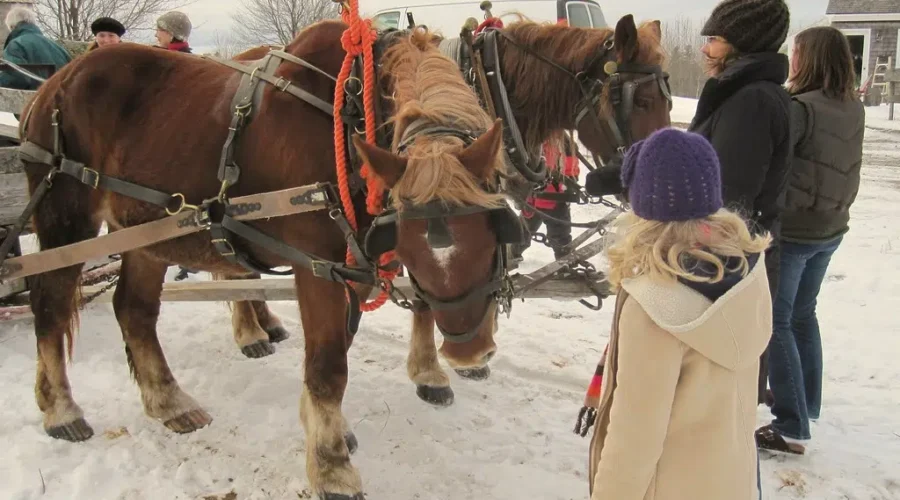 Ross Farm Fixes Up Property During Pandemic, Now Offering Sleigh Rides