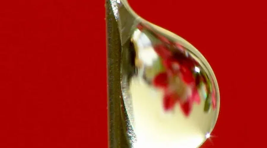 Sharing Isn’t A Big Deal